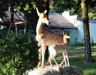 ДОК "Дружба"