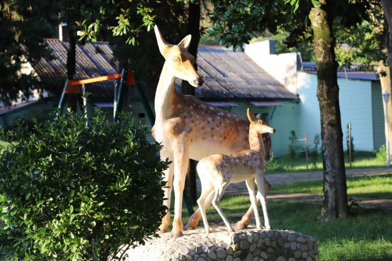 ДОК "Дружба"